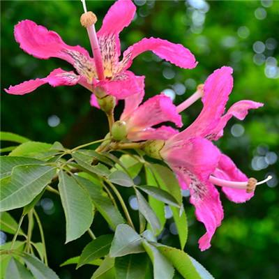 山海秘钥游戏(暂未上线)v7.7.1 安卓版